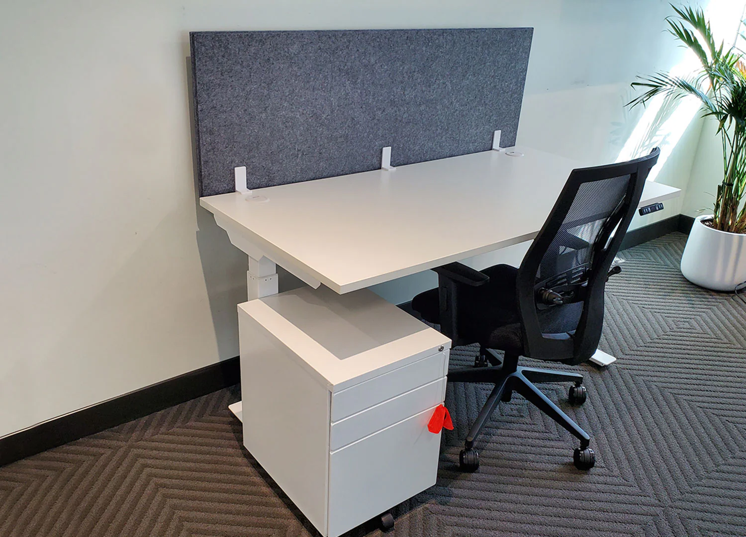 Acoustic Dividers - 19" - Image 8